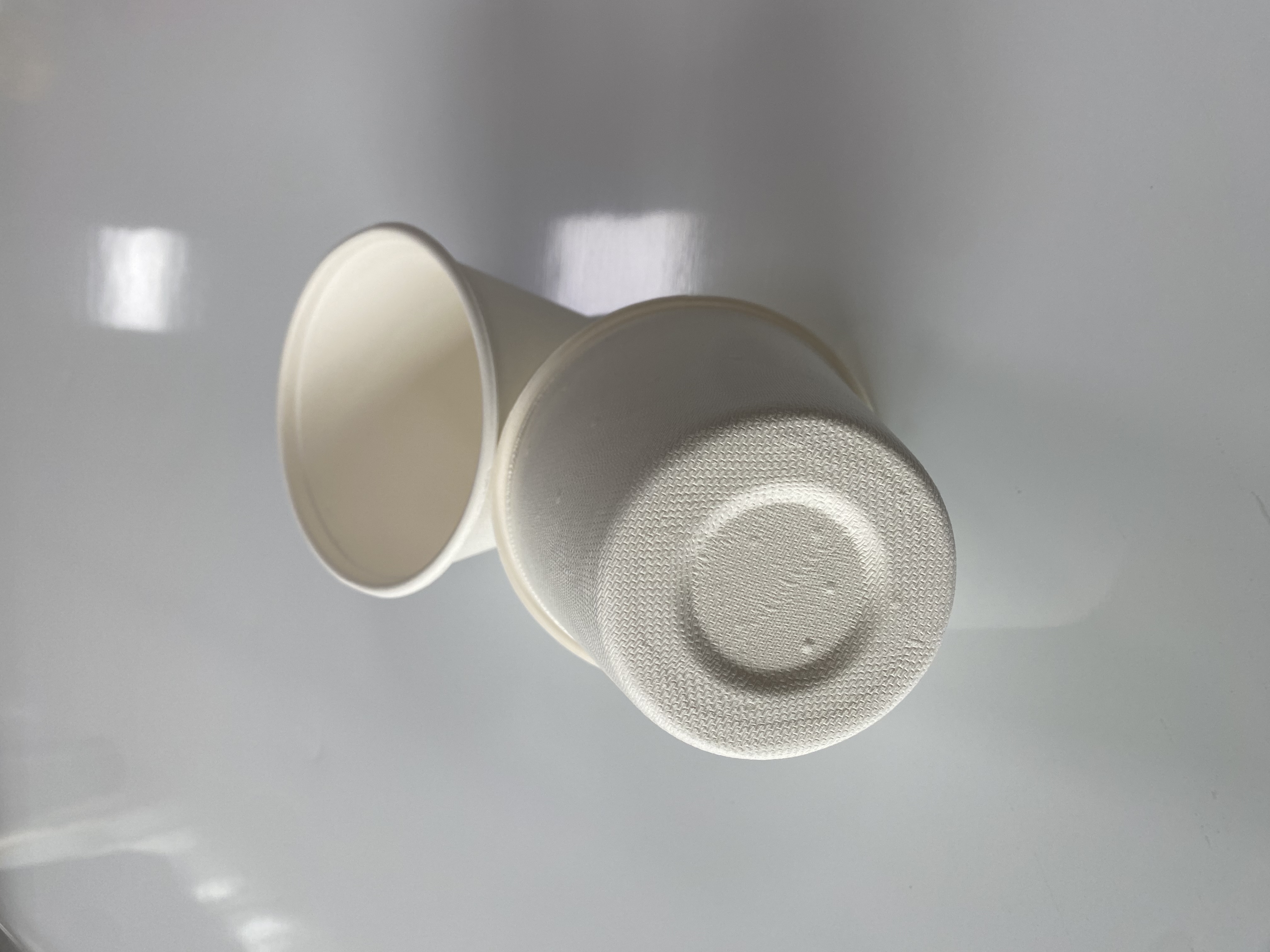 可生物降解一次性纸质食品级甘蔗渣盖，适用于 16 盎司（425 毫升）汤杯