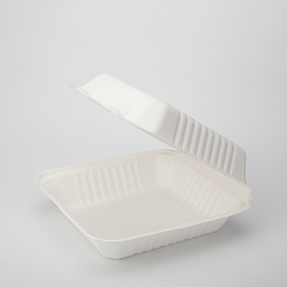 可生物降解外卖一次性翻盖甘蔗渣食品 9' X 9' 盒不含 PFAS