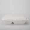 定制可生物降解一次性纸质食品外卖 9 X 6' 2-C 盒
