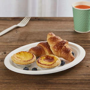 批发可生物降解甘蔗盘甘蔗渣餐具可降解甘蔗餐具甘蔗渣浆白色一次性盘子