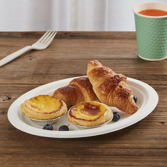 批发可生物降解甘蔗盘甘蔗渣餐具可降解甘蔗餐具甘蔗渣浆白色一次性盘子