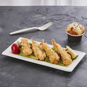 可生物降解食品包装一次性甘蔗渣浆 10' x 5' 矩形板。 