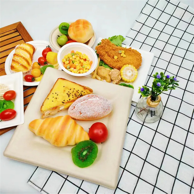 100% 可组合可生物降解甘蔗渣浆圆形 6' 方盘