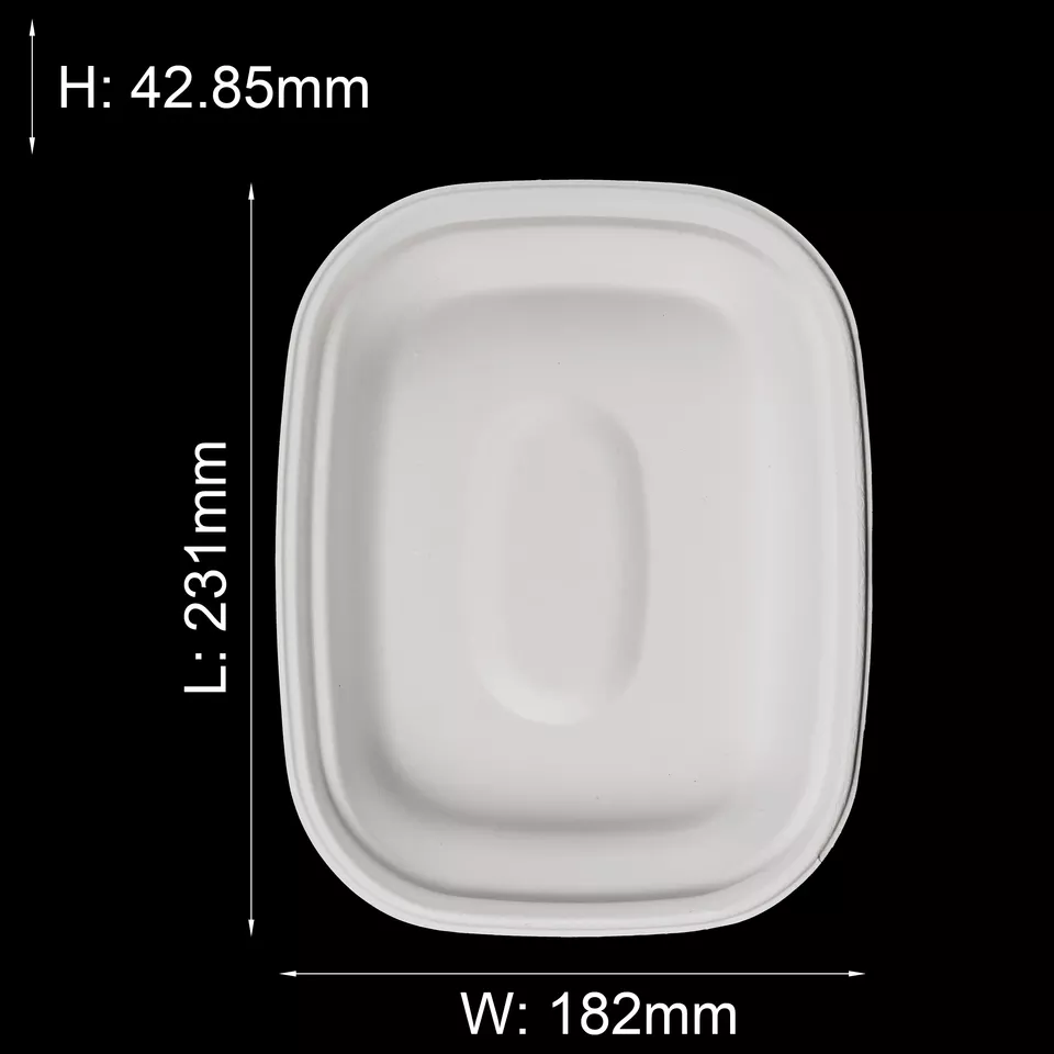 可生物降解植物纤维沙拉纸甘蔗渣纸浆模塑 1100 毫升长方形一次性食品碗