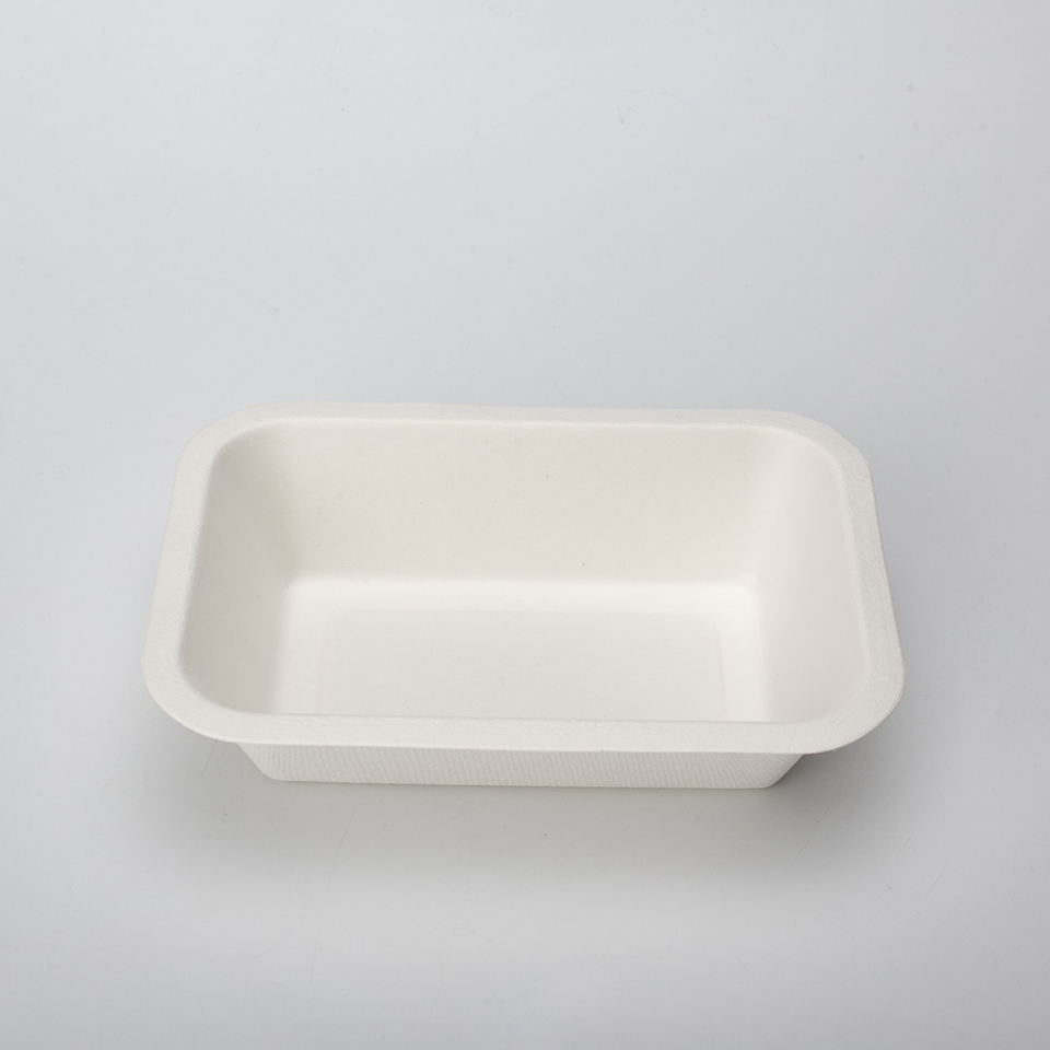 不含 PFAS 可生物降解可堆肥甘蔗甘蔗渣纸浆模塑包装带盖食品托盘