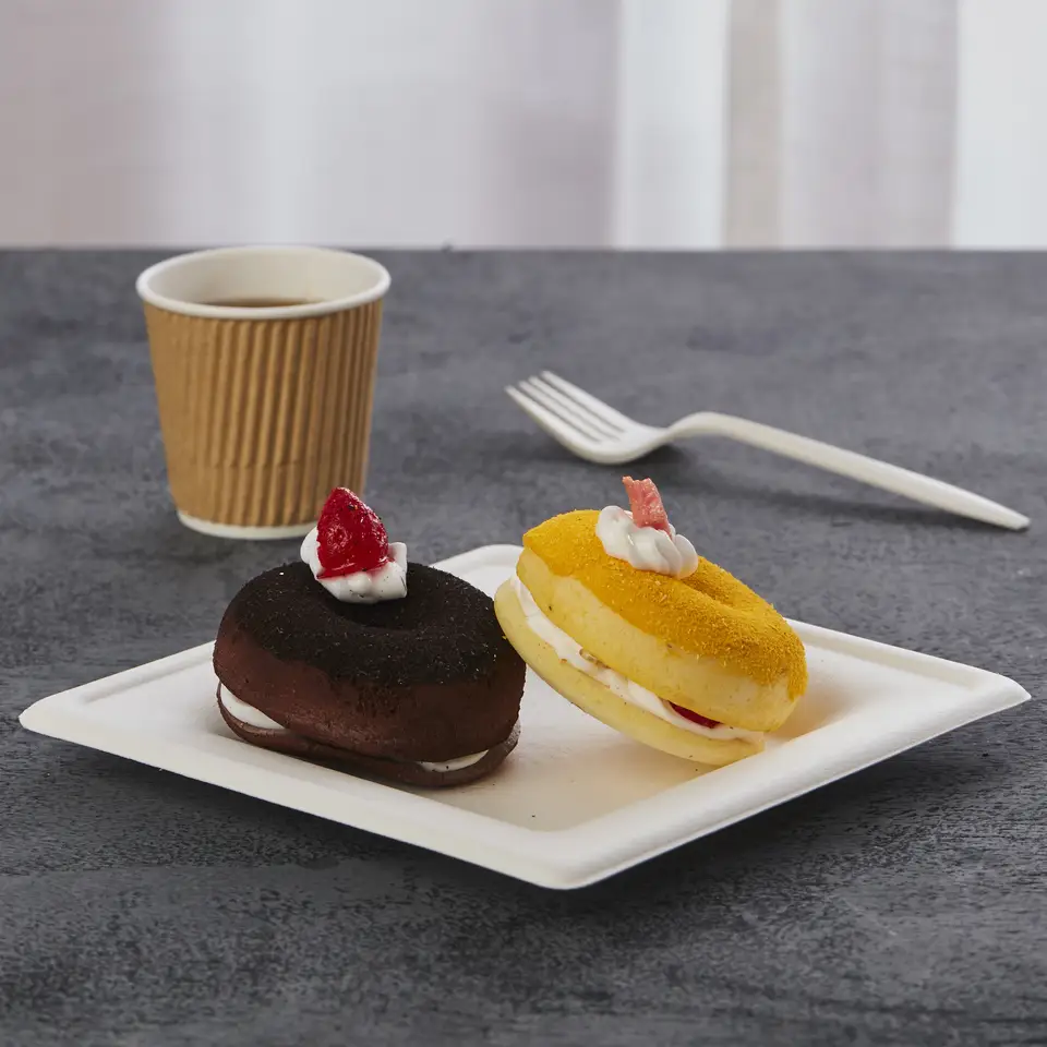 环保可生物降解微波炉安全甘蔗渣一次性 10 英寸方盘带 PET 盖