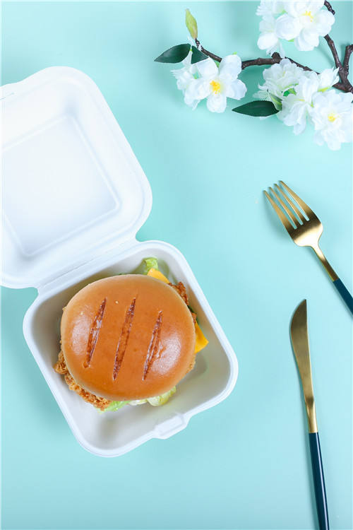 5热销甘蔗翻盖甘蔗渣食品容器可生物降解一次性餐具甘蔗一次性饭盒