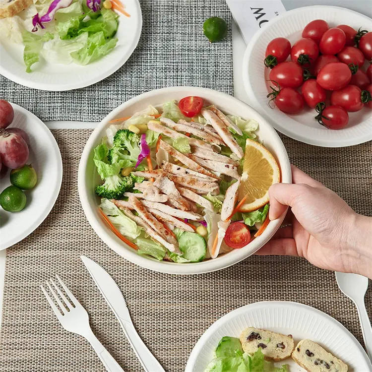 一次性圆形甘蔗渣纸浆定制可生物降解纸沙拉水果汤食品 24 盎司（710 毫升）碗