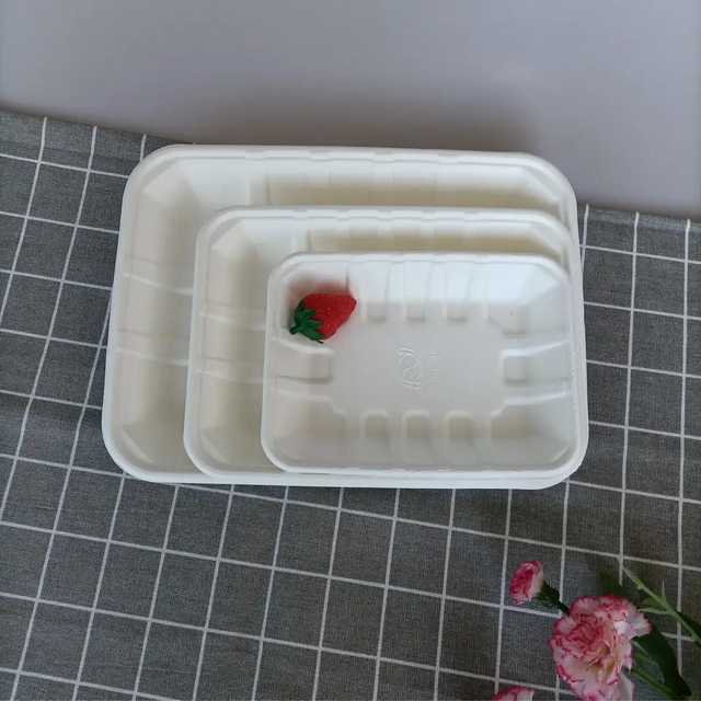 不含 PFAS 一次性可生物降解长方形食品肉甘蔗渣纸浆模具托盘