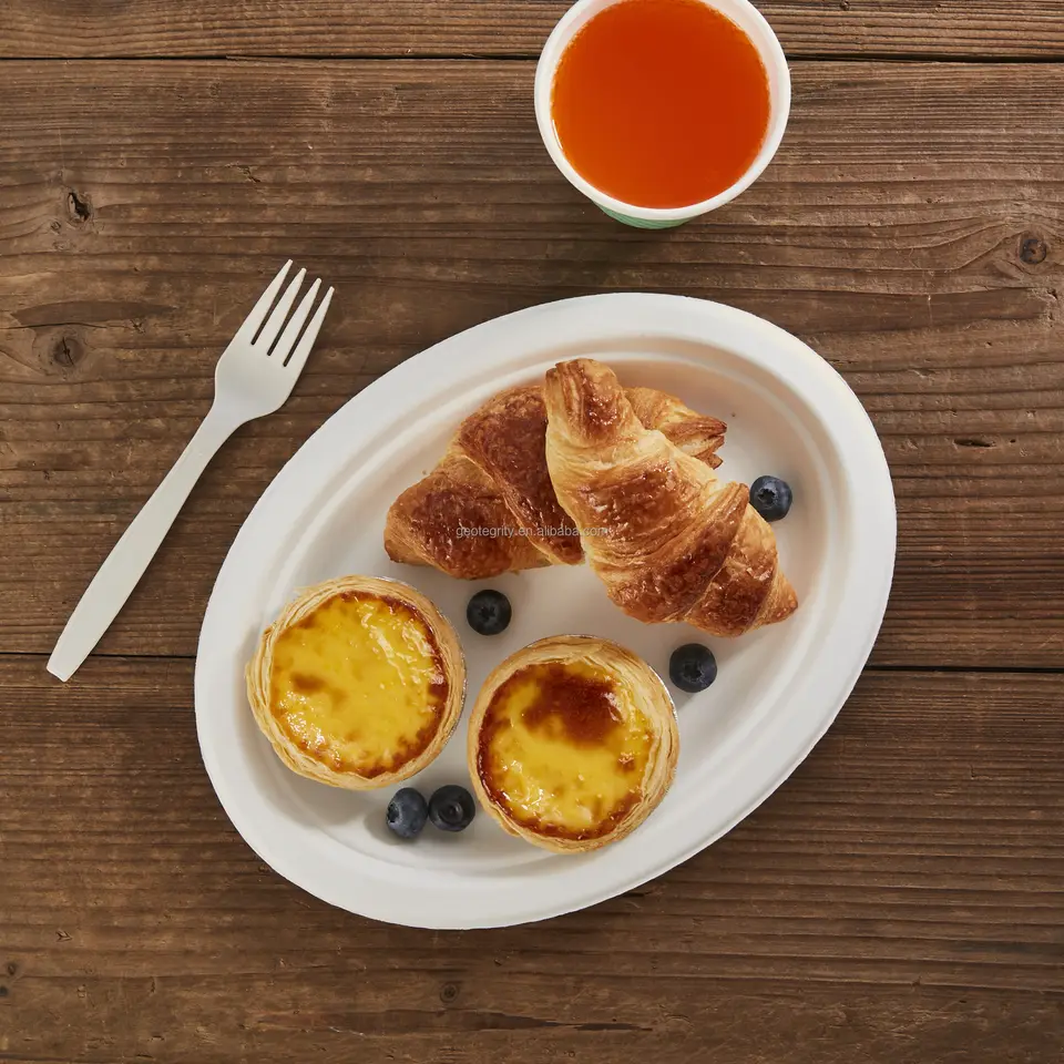 一次性环保甘蔗渣餐具可堆肥可生物降解 10' x 8' 椭圆形盘子