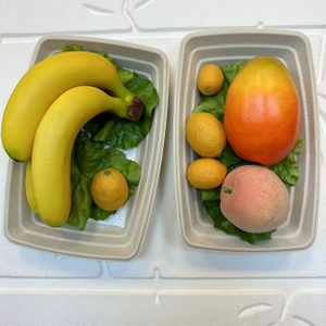 可生物降解一次性外卖食品包装产品甘蔗渣托盘