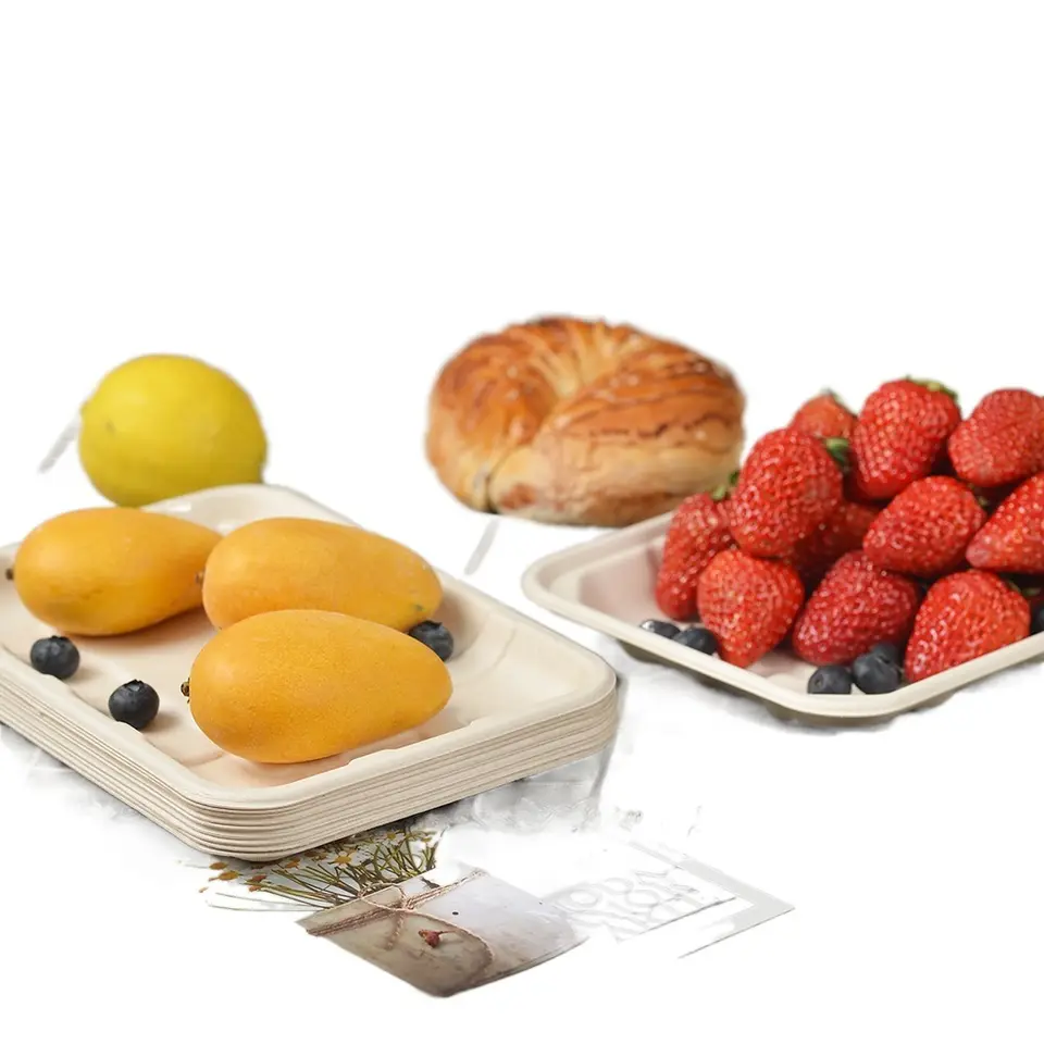 100% 可降解一次性甘蔗渣 8' x 6' x 1' 食品包装托盘