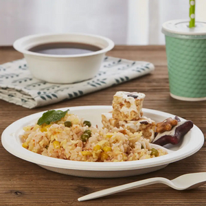 8.75 英寸 2 组甘蔗渣一次性纸环保可生物降解定制盘子