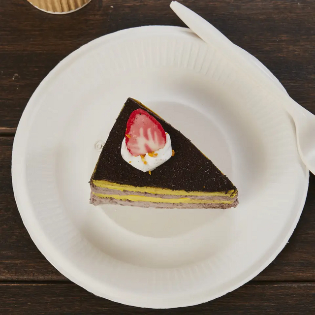 100% 可堆肥一次性感恩节甘蔗纸食品盘 8 英寸罗纹盘白色甘蔗渣纸浆容器