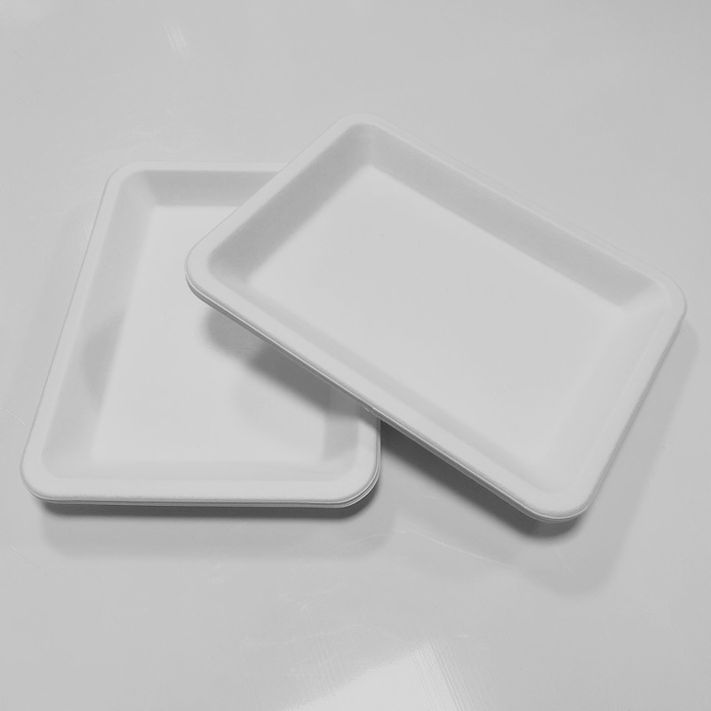 可生物降解餐厅可堆肥肉类甘蔗渣冷冻食品 8' x 6' x 0.6' 托盘