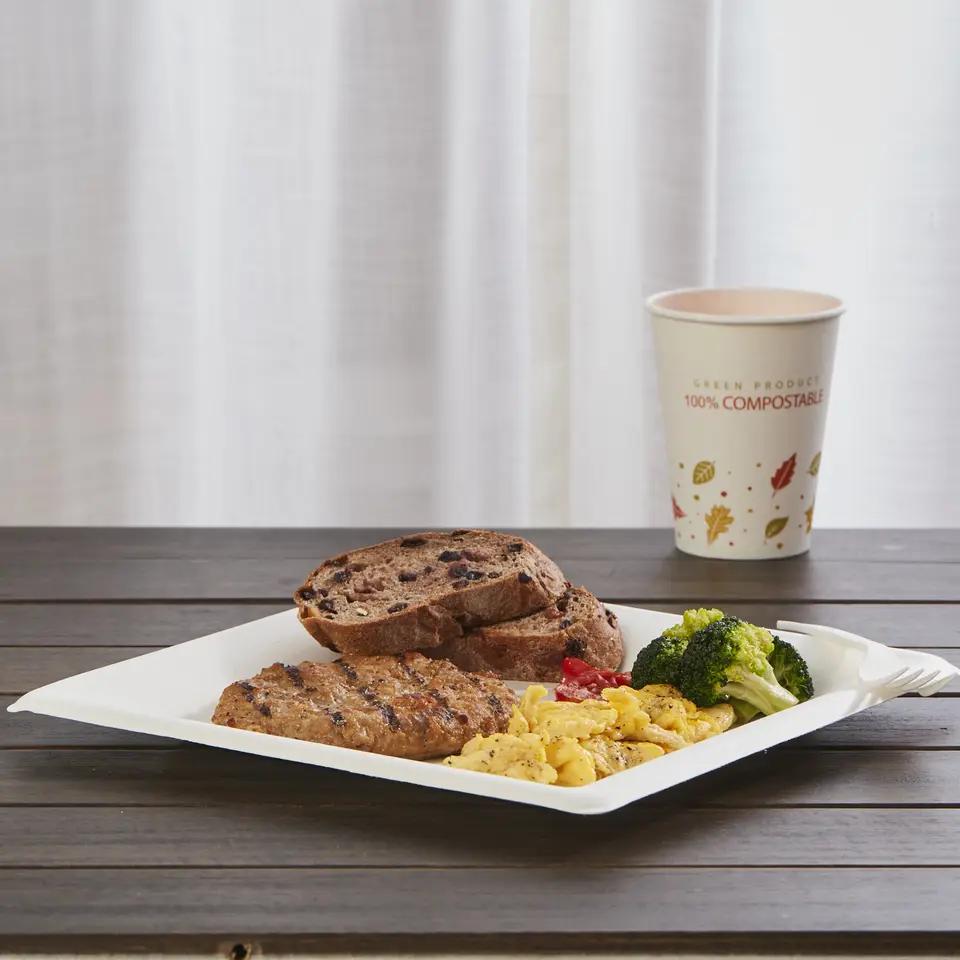 派对环保一次性可生物降解甘蔗渣 6' 方盘