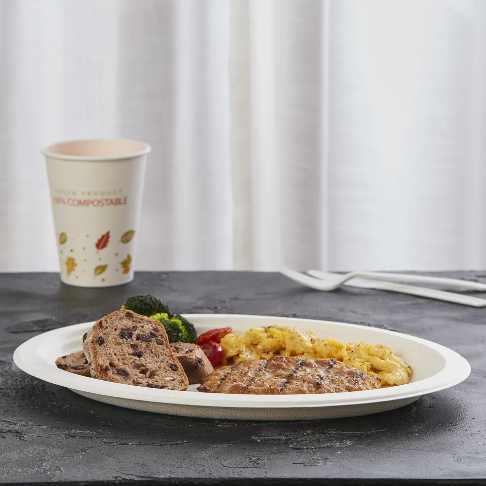 一次性环保甘蔗渣餐具可堆肥可生物降解 10' x 8' 椭圆形盘子