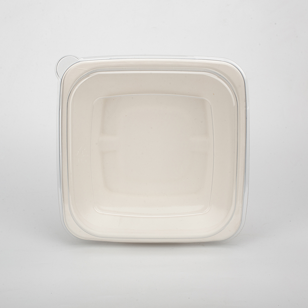 一次性甘蔗渣纤维可生物降解 24 盎司方形碗外卖纸浆食品容器太空派对礼物旅行厨房啤酒露营