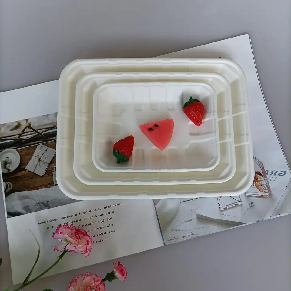 甘蔗一次性纸新鲜甘蔗渣肉 10' x 7' 托盘