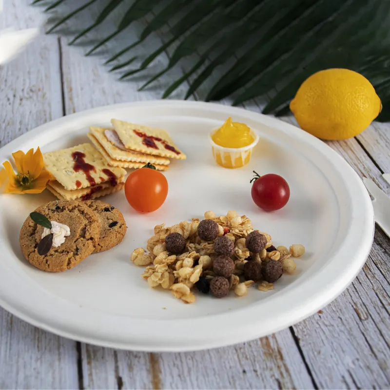 天然白色甘蔗渣一次性食品容器 9.5' 圆盘