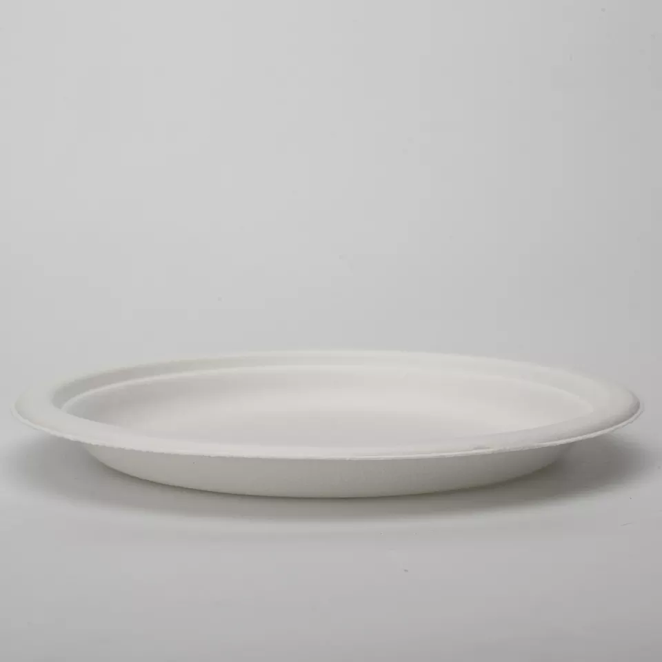 不含 PFAS 一次性可生物降解甘蔗渣纸浆模具蛋糕板圆形充电板