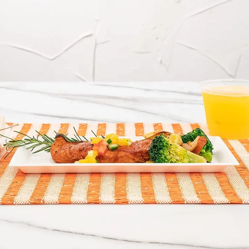 可生物降解食品包装一次性甘蔗渣浆 10' x 5' 矩形板。 