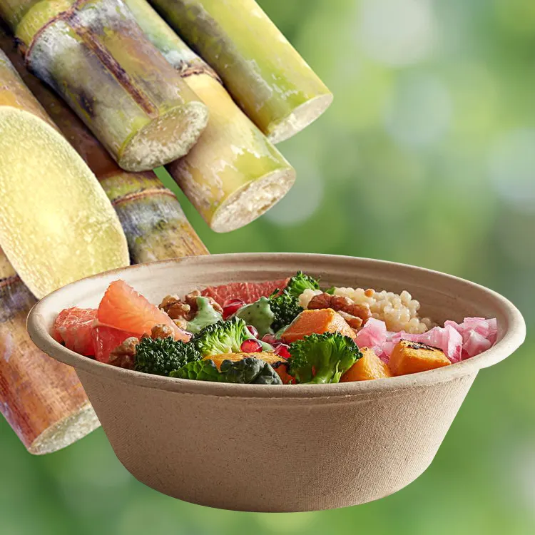 环保可堆肥 18 盎司（500 毫升）食品外卖一次性碗