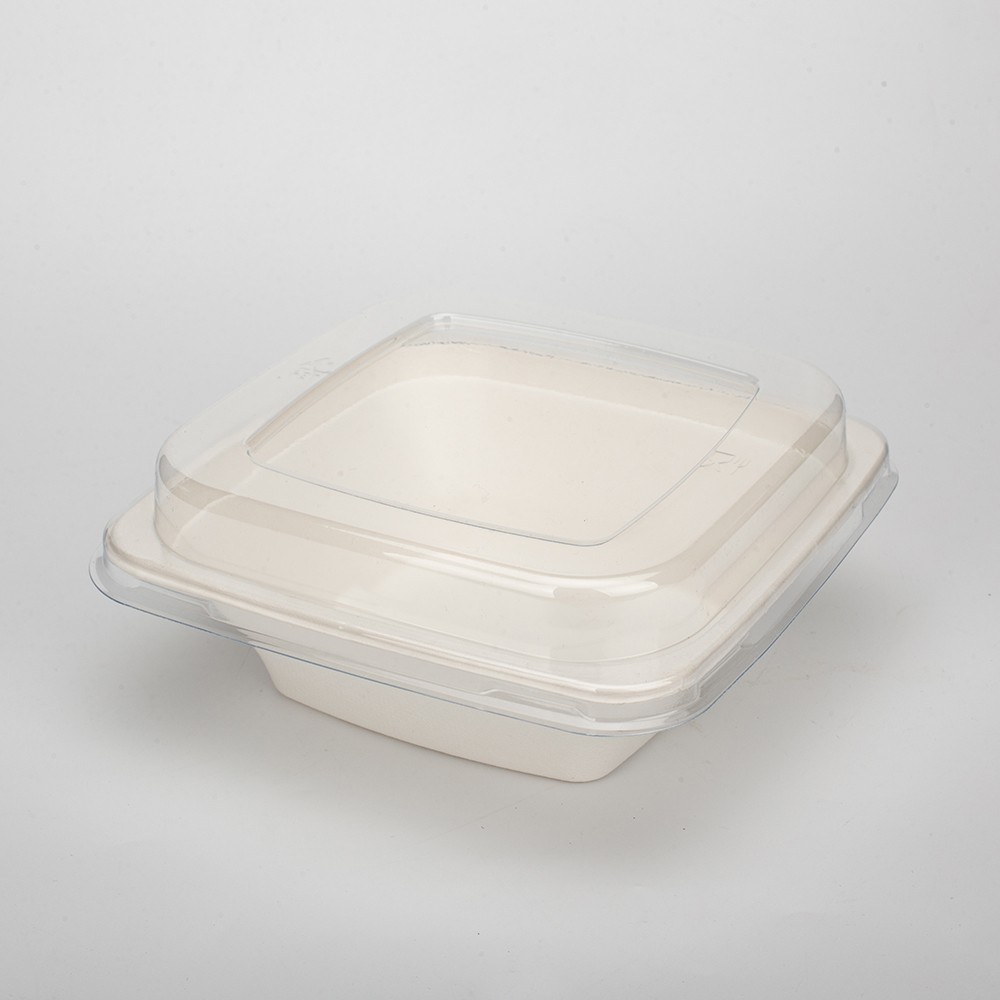 可堆肥甘蔗渣可生物降解环保食品容器 24 盎司（680 毫升）方碗