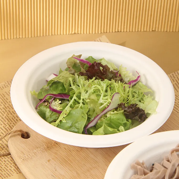 环保可生物降解 pfa 16 盎司（460 毫升）碗纸浆甘蔗渣沙拉碗甘蔗餐具容器纸浆甘蔗渣碗带盖