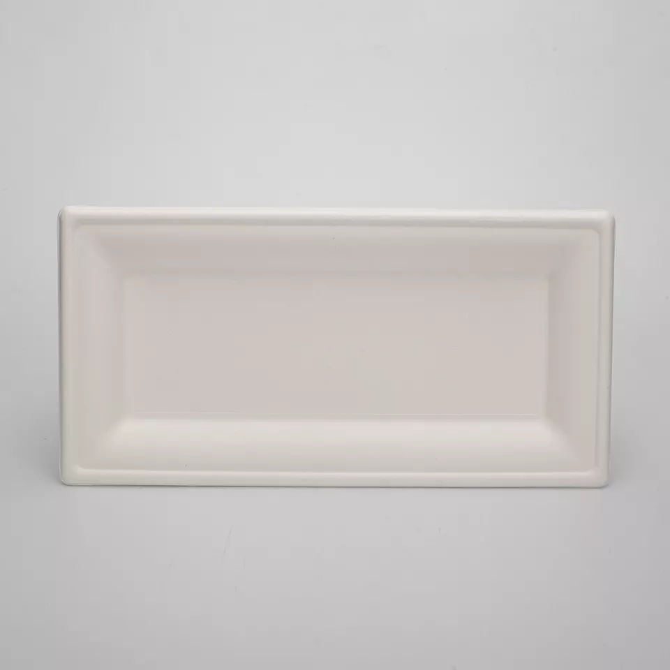 生态友好型外卖食品储藏室可生物降解一次性盘子由甘蔗废料制成矩形甘蔗渣盘子