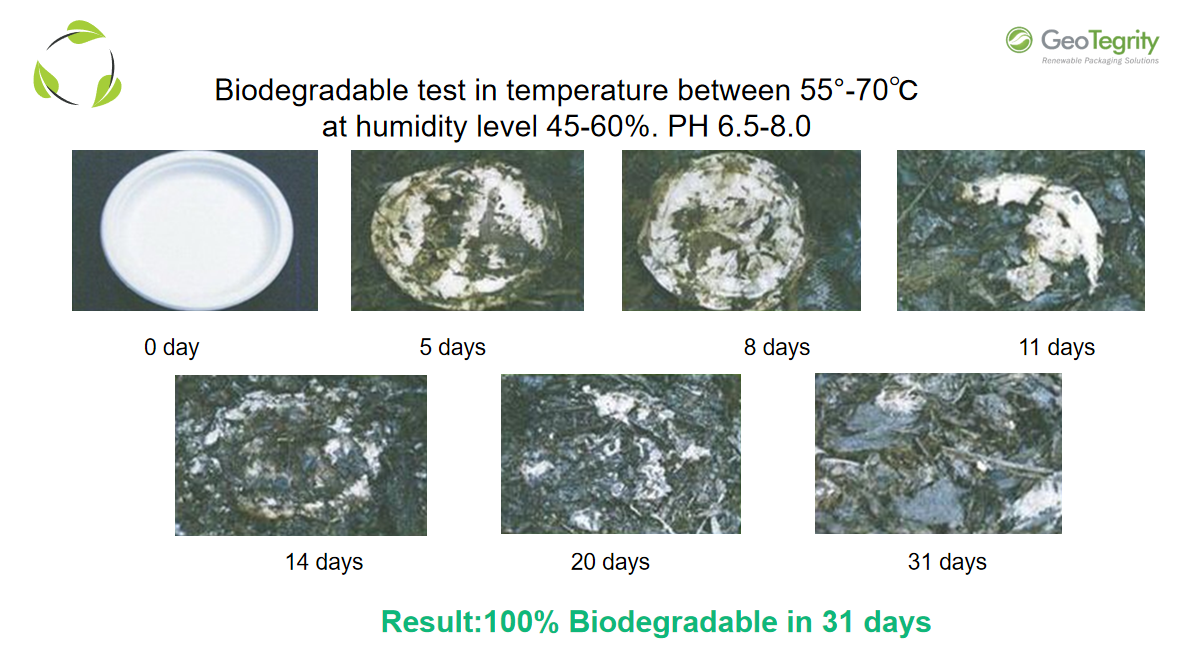 甘蔗渣原料的优点