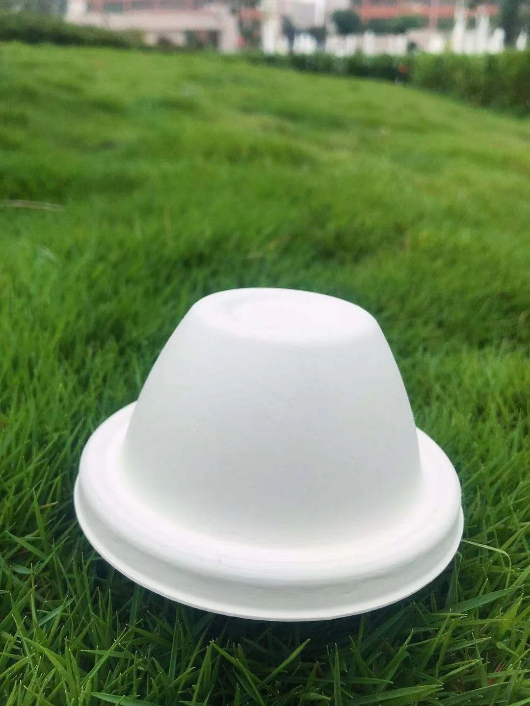 100% 可生物降解植物纤维咖啡杯盖可堆肥模制甘蔗渣纸浆咖啡 90 毫米纸浆圆顶盖