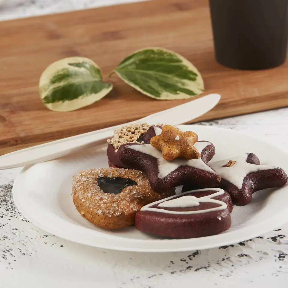 不含 PFAS 可堆肥一次性 6' 罗纹圆形甘蔗渣纸盘可生物降解-甘蔗纤维板 