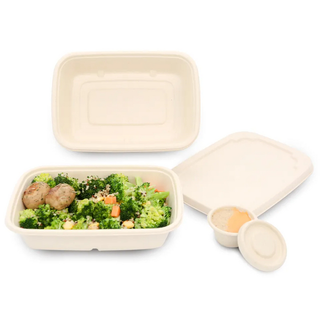 用于食品和水果的可生物降解甘蔗渣纸浆一次性 24 盎司托盘