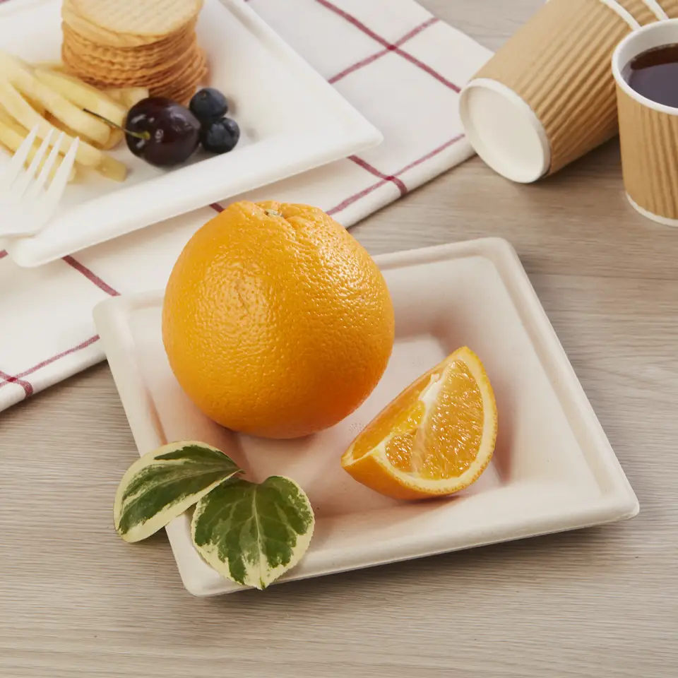 环保可生物降解微波炉安全甘蔗渣一次性 10 英寸方盘带 PET 盖