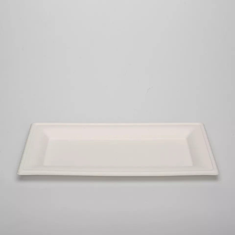 生态友好型外卖食品储藏室可生物降解一次性盘子由甘蔗废料制成矩形甘蔗渣盘子