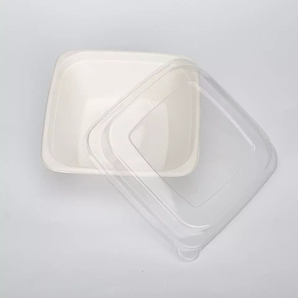 可生物降解方形甘蔗渣食品容器，带 Din Certco 和 OK 堆肥家用碗定制包装甘蔗渣纸浆