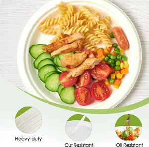 天然白色甘蔗渣一次性食品容器 9.5' 圆盘