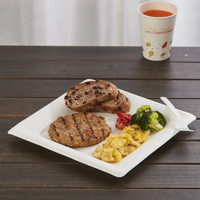 派对环保一次性可生物降解甘蔗渣 6' 方盘