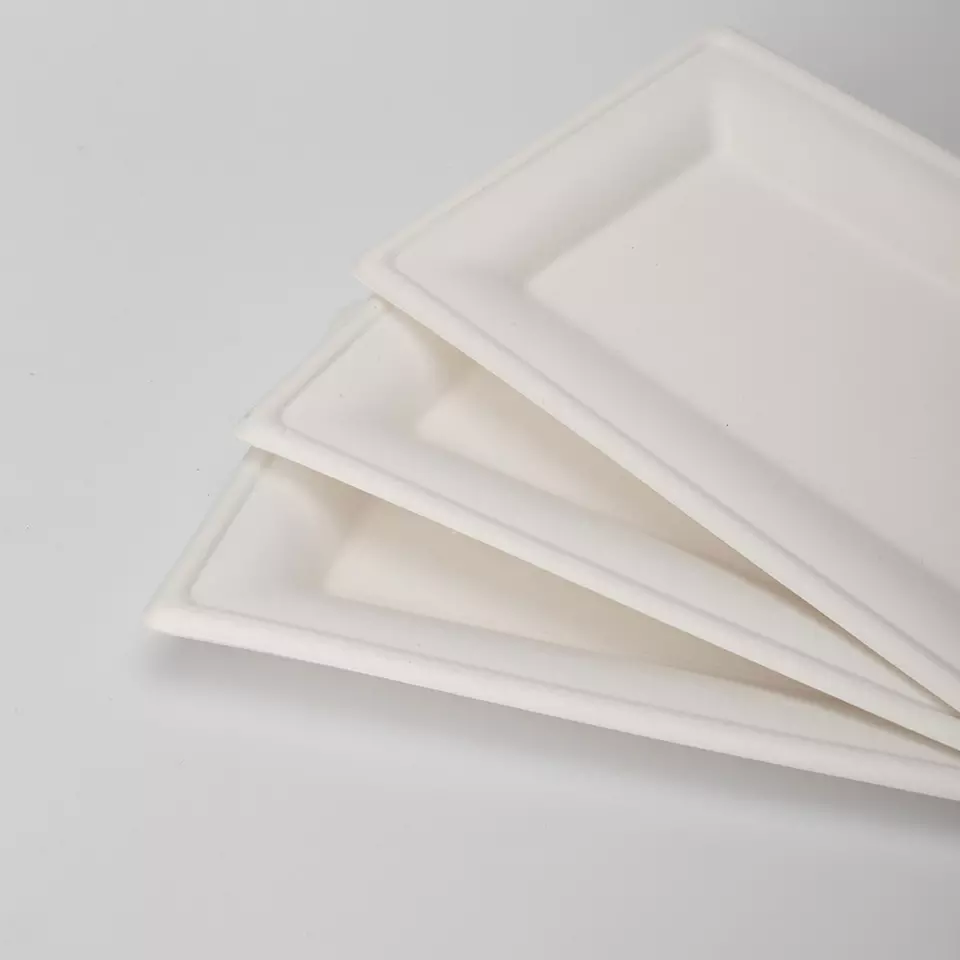 生态友好型外卖食品储藏室可生物降解一次性盘子由甘蔗废料制成矩形甘蔗渣盘子