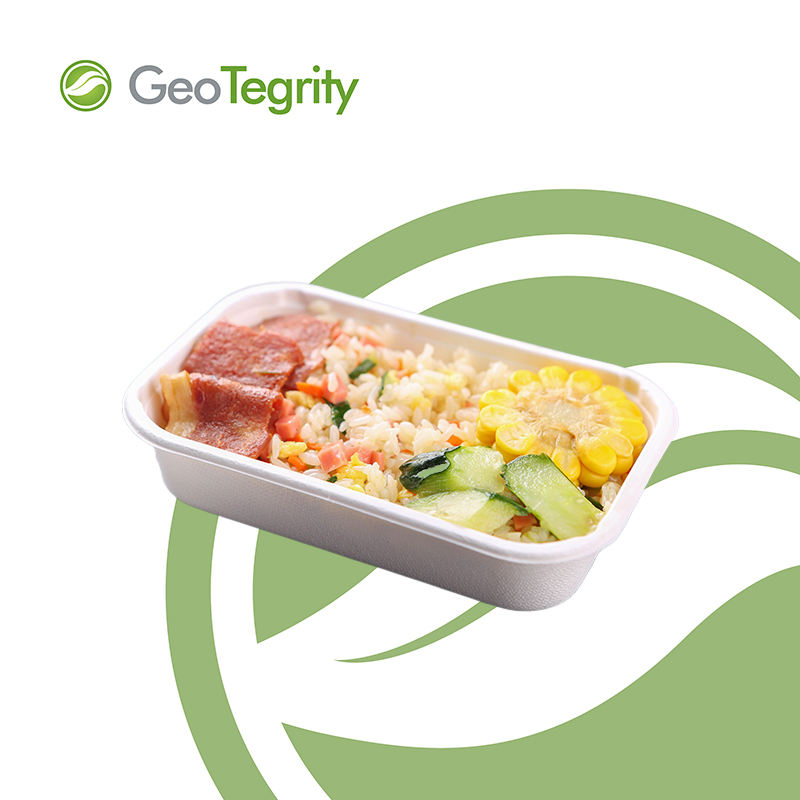 不含 PFAS 可生物降解可堆肥甘蔗甘蔗渣纸浆模塑包装带盖食品托盘