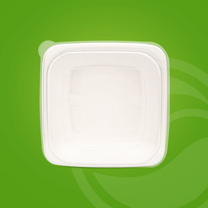 可生物降解方形甘蔗渣食品容器，带 Din Certco 和 OK 堆肥家用碗定制包装甘蔗渣纸浆