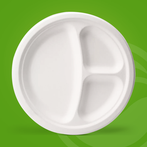 可生物降解一次性环保甘蔗渣板